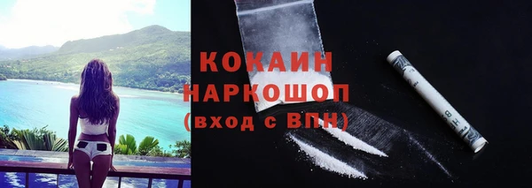 ПСИЛОЦИБИНОВЫЕ ГРИБЫ Россошь