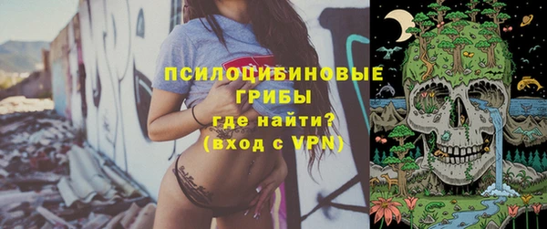 ПСИЛОЦИБИНОВЫЕ ГРИБЫ Россошь