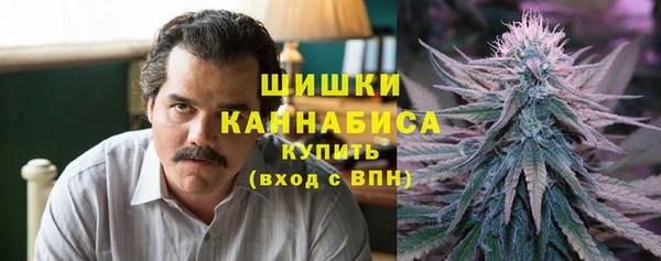 ПСИЛОЦИБИНОВЫЕ ГРИБЫ Россошь
