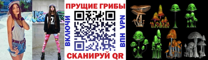 Купить закладки  Сарапул  Псилоцибиновые грибы Psilocybine cubensis 